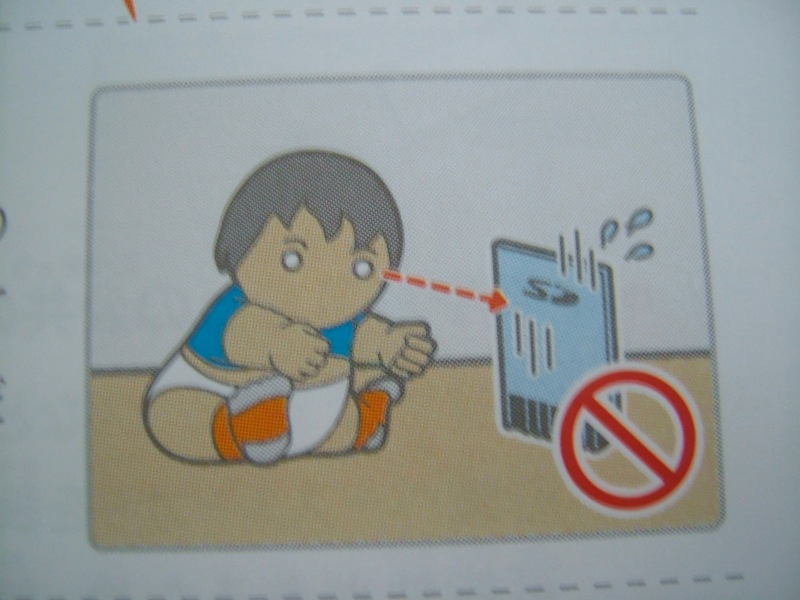 Illustration for article titled Hey Dummy, Don't Microwave The DSi (And Other Nintendo Tips)